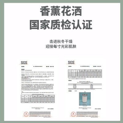 23年过滤花洒外贸跨境旋转开关透视天窗过滤净水增压淋浴器家用